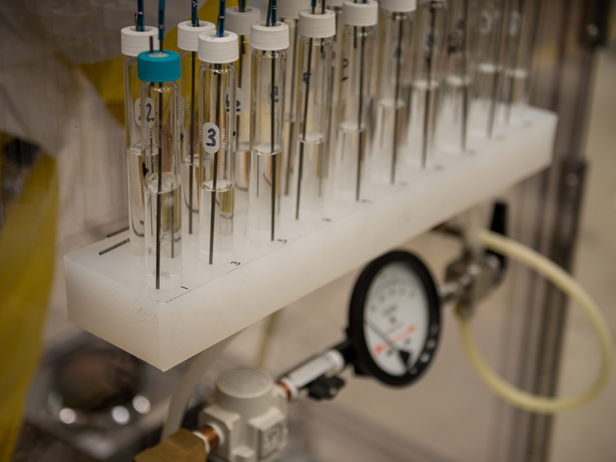 Closeup photograph of multiple test tubes filled with clear liquid samples