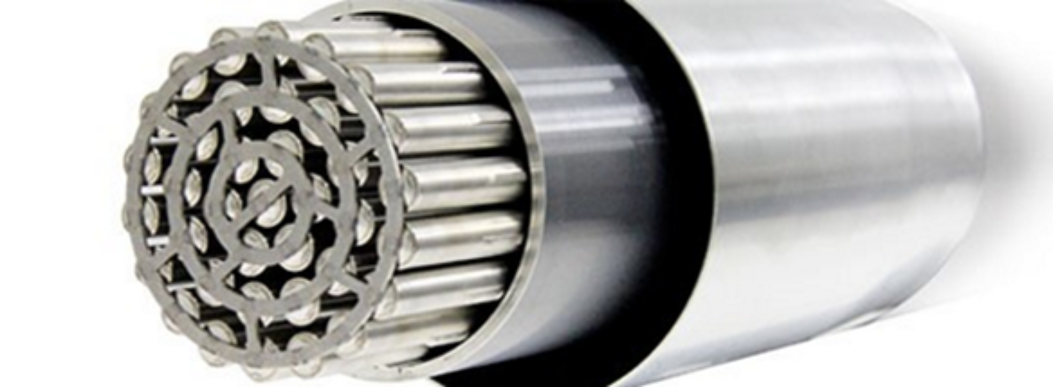 CANDU Fuel Bundle in a Fuel Channel Assembly